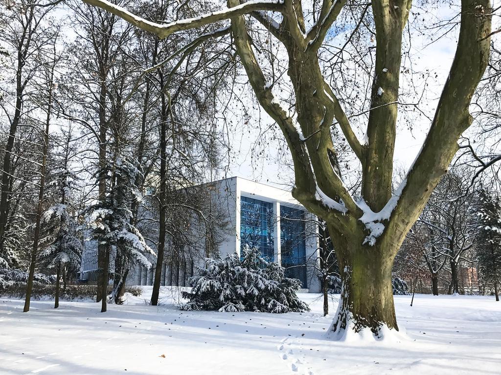 Design Apartments In Park Brno Bagian luar foto